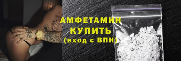 прущие грибы Абинск
