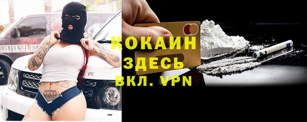 твердый Абаза