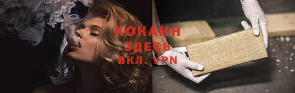 spice Алзамай
