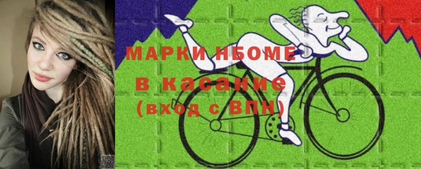 spice Каменка