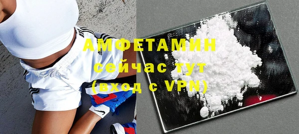 прущие грибы Абинск