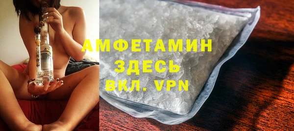 твердый Абаза
