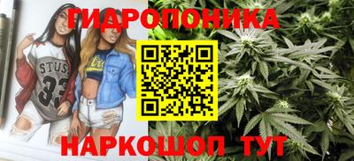 амф Кулебаки