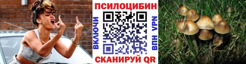 Галлюциногенные грибы Magic Shrooms  Егорьевск 
