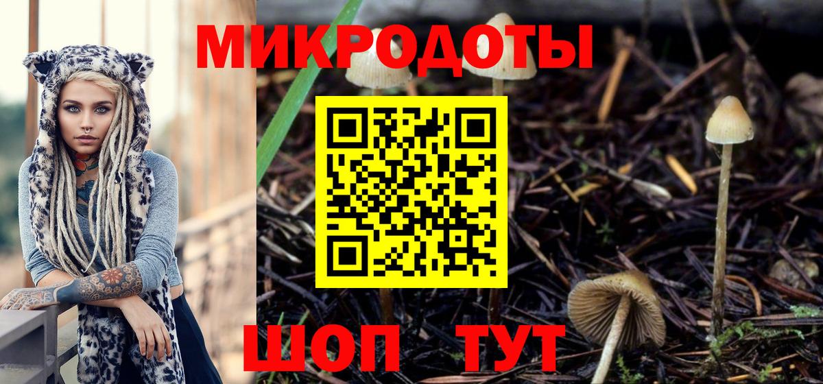 Егорьевск  Галлюциногенные грибы мухоморы  Вход с VPN 